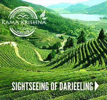 Darjeeling Tour