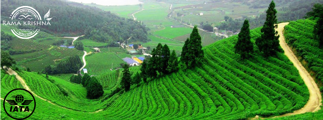 LTC DARJEELING TOUR PACKAGE